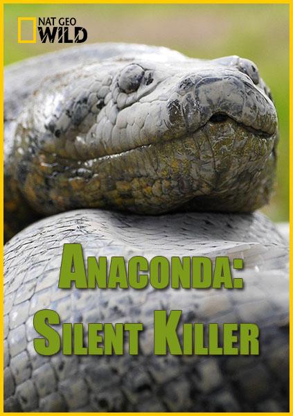National Geographic. Анаконда: Тихий убийца / Anaconda: Silent Killer (2014) 
