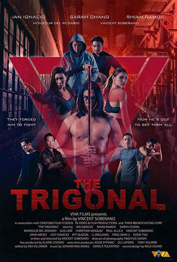 Тригонал: Борьба за справедливость / The Trigonal: Fight for Justice (2018) 