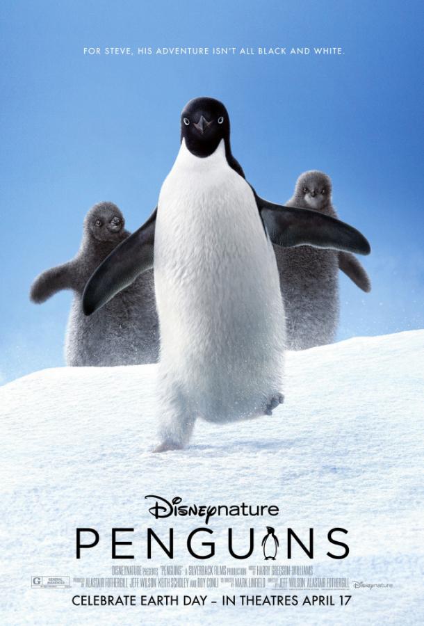 Пингвины / Penguins (2019) 