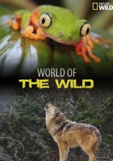 Мир дикой природы / World of the Wild (2016) 