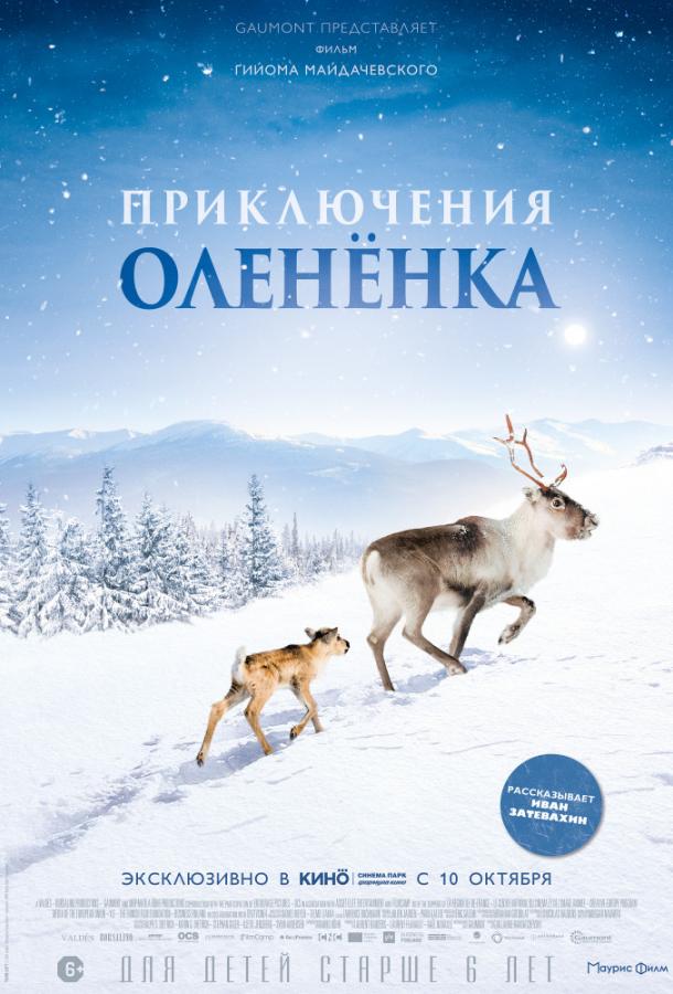 Приключения оленёнка / A?lo: Une odyss?e en Laponie (2018) 