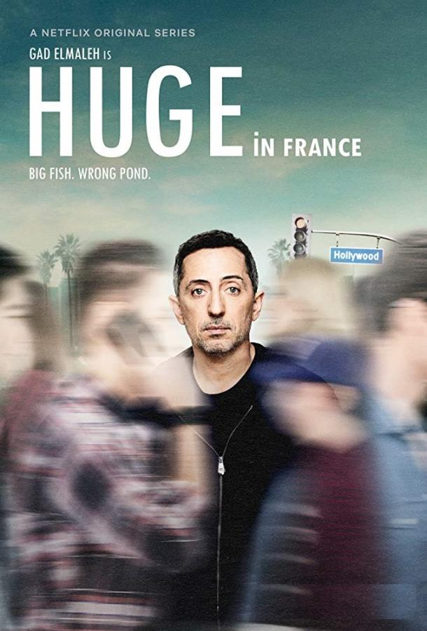 Популярен во Франции / Huge in France (2019) 