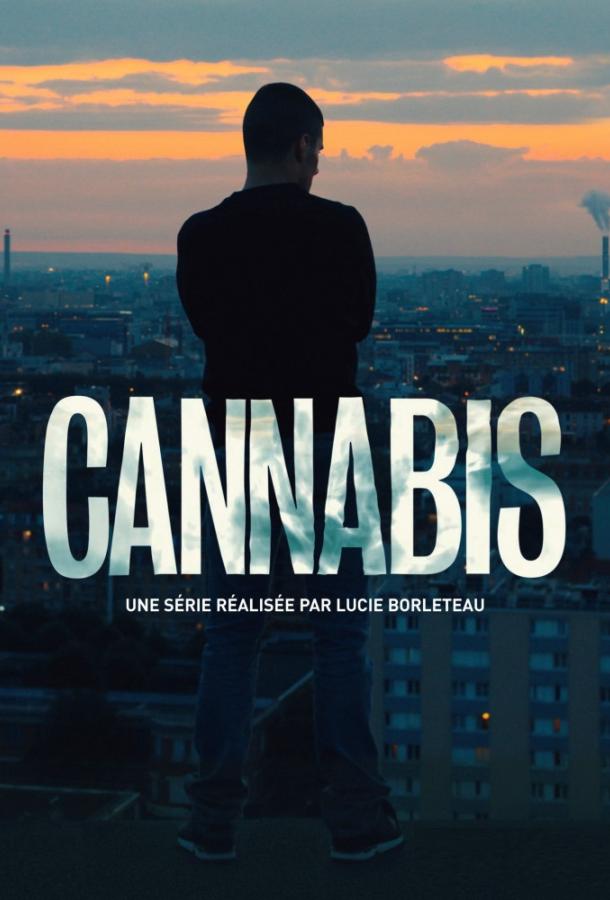 Каннабис / Cannabis (2016) 