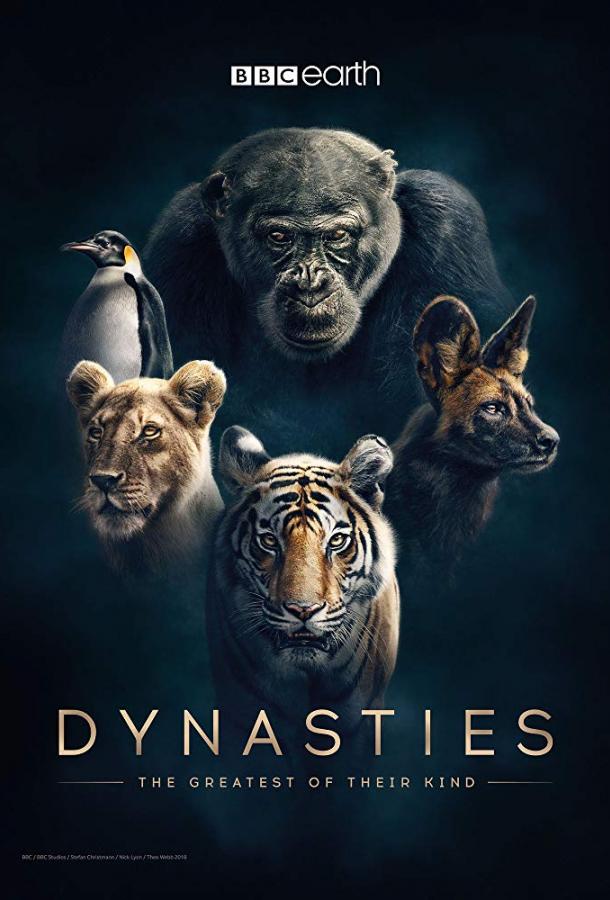 Династии / Dynasties (2018) 