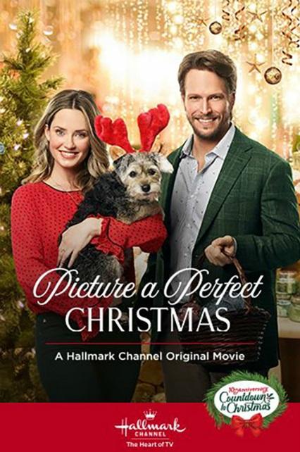 Образ идеального Рождества / Picture a Perfect Christmas (2019) 