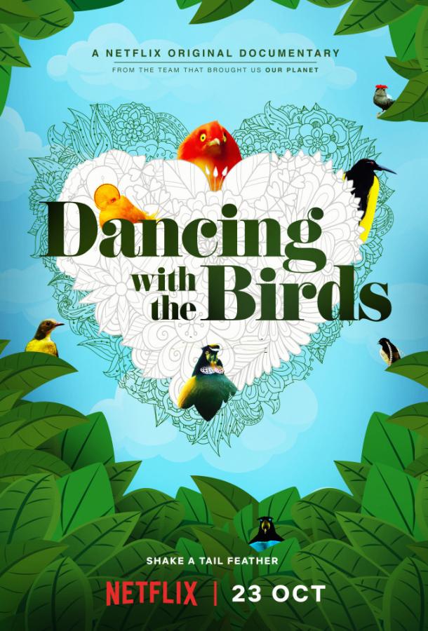 Танцы с птицами / Dancing with the Birds (2019) 