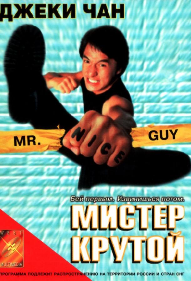 Мистер Крутой / Yat goh ho yan (1996) 
