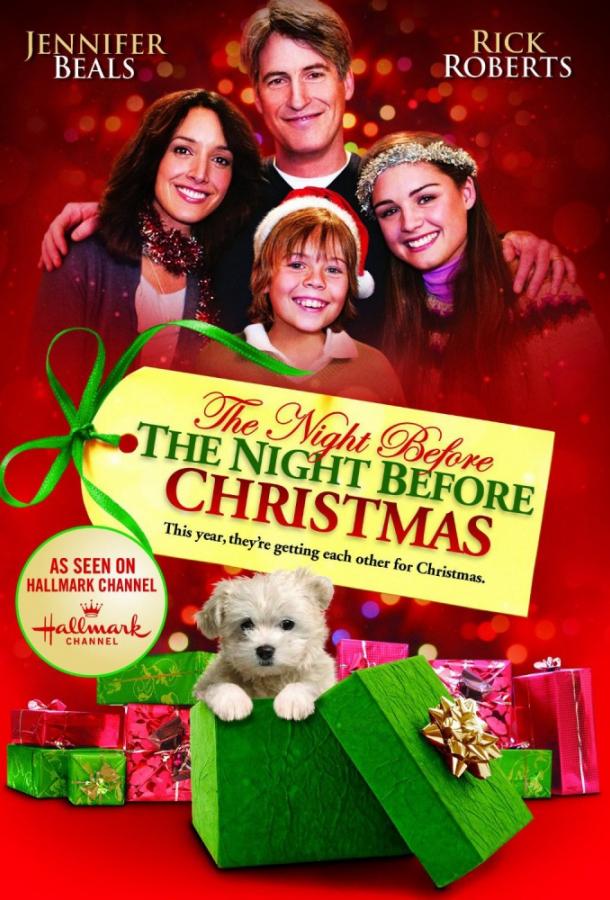 Рождественские приключения семейства Фоксов / The Night Before the Night Before Christmas (2010) 