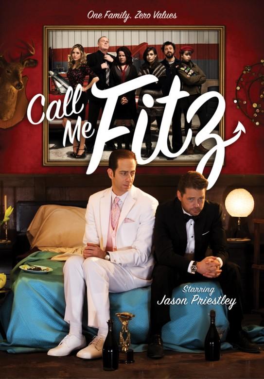 Зовите меня Фитц / Call Me Fitz (2010) 