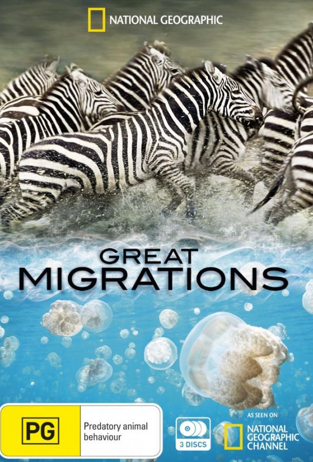Великие миграции / Great Migrations (2010) 