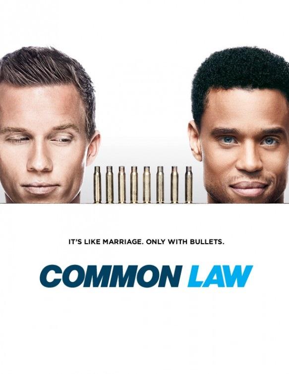 Общее дело / Common Law (2012) 