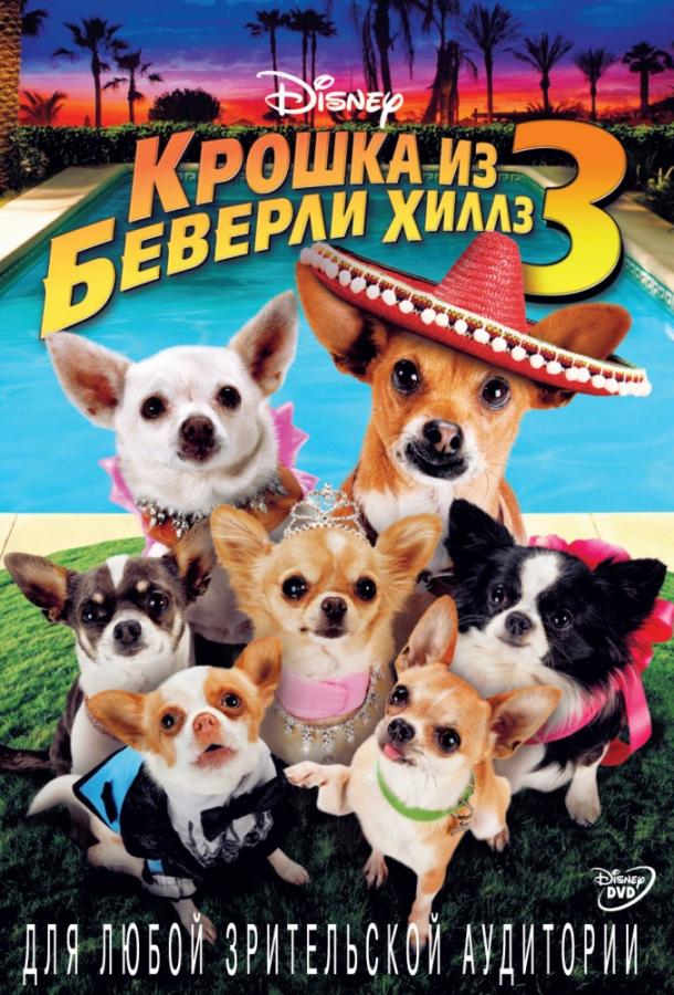 Крошка из Беверли-Хиллз 3 / Beverly Hills Chihuahua 3: Viva La Fiesta! (2012) 