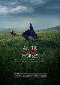 Дикие лошади / All the Wild Horses (2017) 