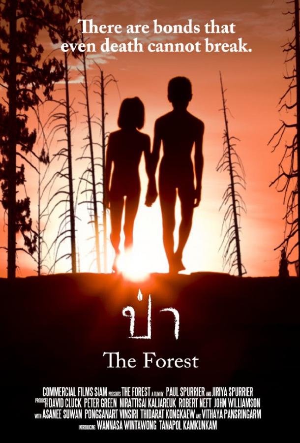 Лес / The Forest (2016) 