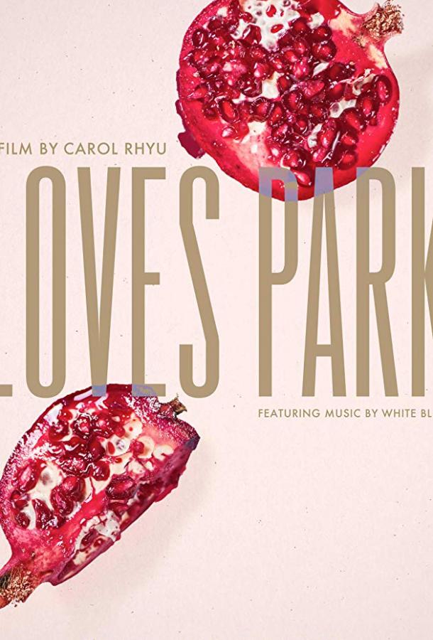 Искра любви / Loves Park (2017) 