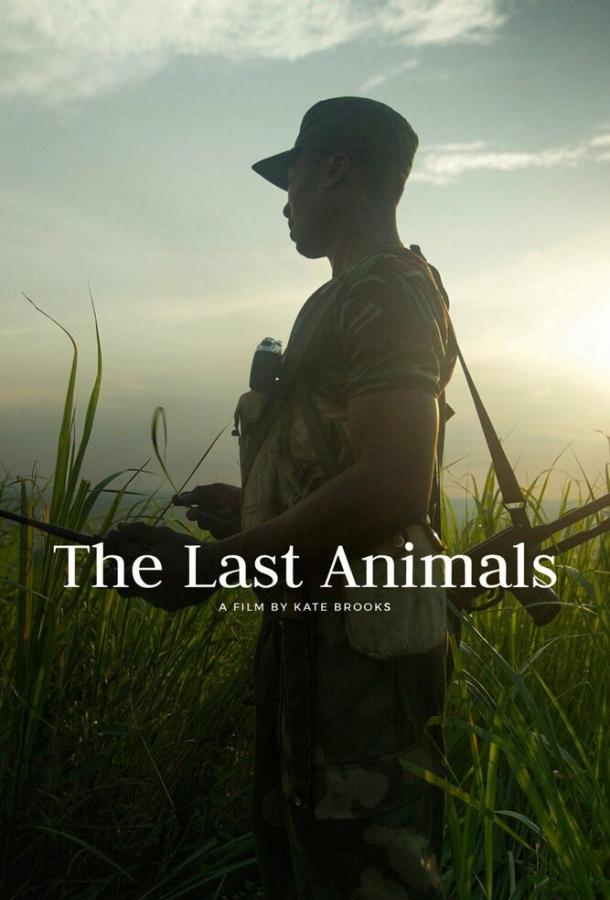 Последние животные / The Last Animals (2017) 