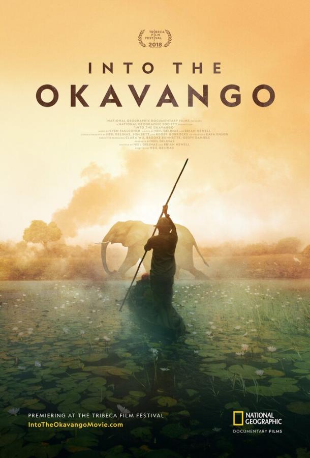 Далеко в Окаванго / Into the Okavango (2018) 