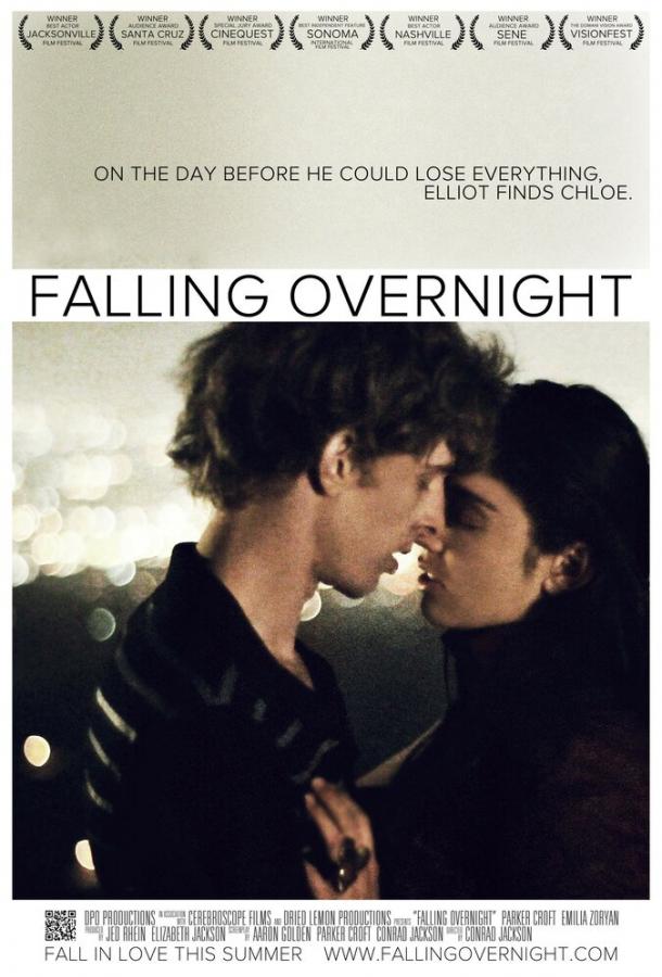 Накануне вечером / Falling Overnight (2011) 