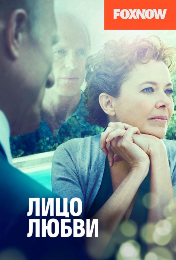 Лицо любви / The Face of Love (2013) 