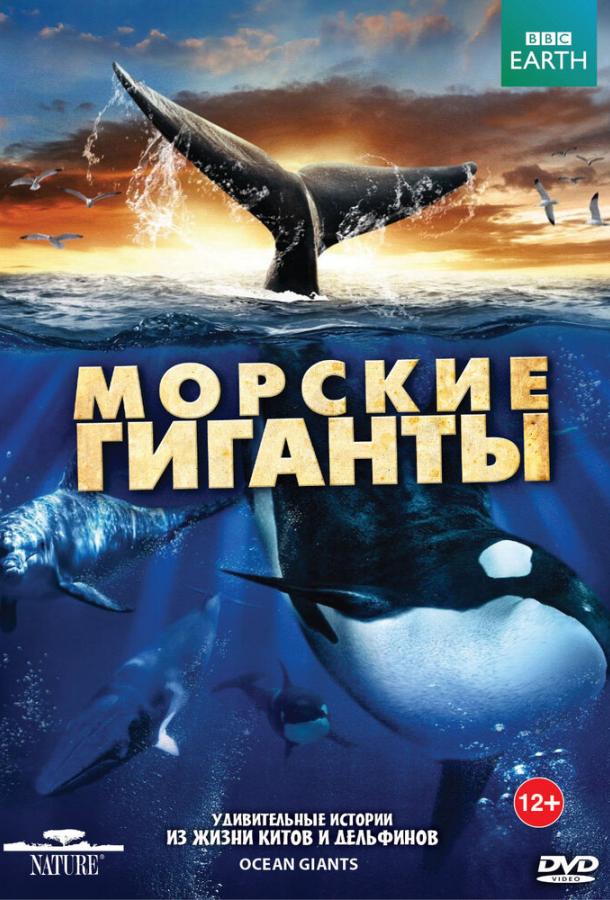 BBC: Морские гиганты / Ocean Giants (2011) 