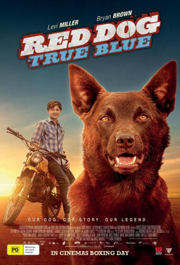 Рыжий пес: Самый верный / Red Dog: True Blue (2016) 