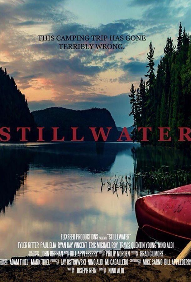 Тихие воды / Stillwater (2018) 