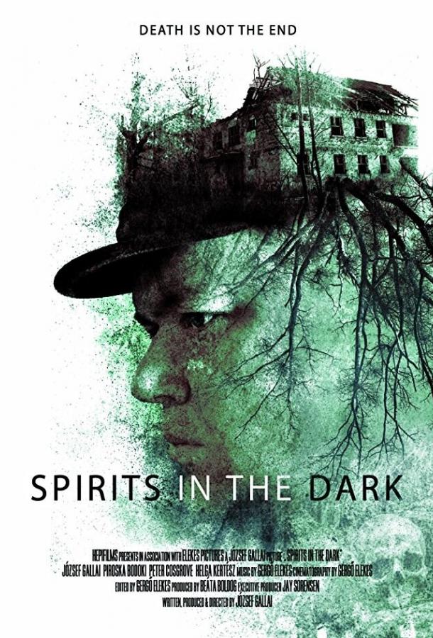 Духи в темноте / Spirits in the Dark (2019) 