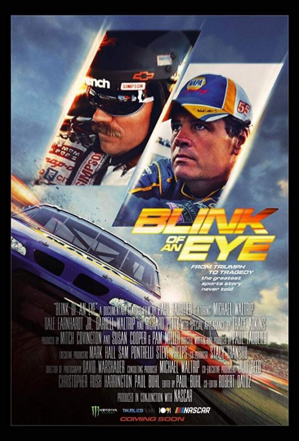 В мгновенье ока / Blink of an Eye (2019) 