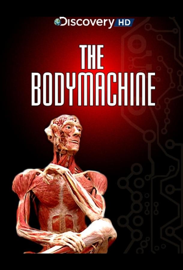 Механизм тела / The Body Machine (2008) 