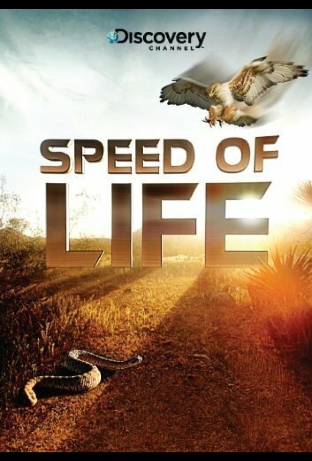 Скорость жизни / Speed of Life (2010) 