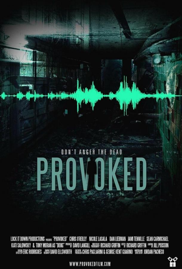 Provoked (2013) 