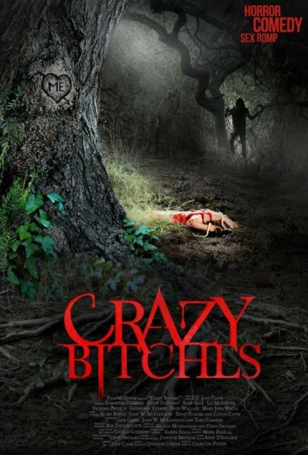 Сумасшедшие суки / Crazy Bitches (2014) 