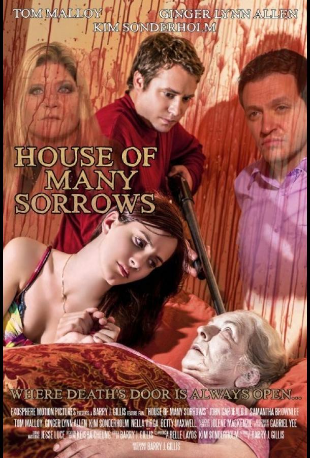 Дом скорби / House of Many Sorrows (2016) 