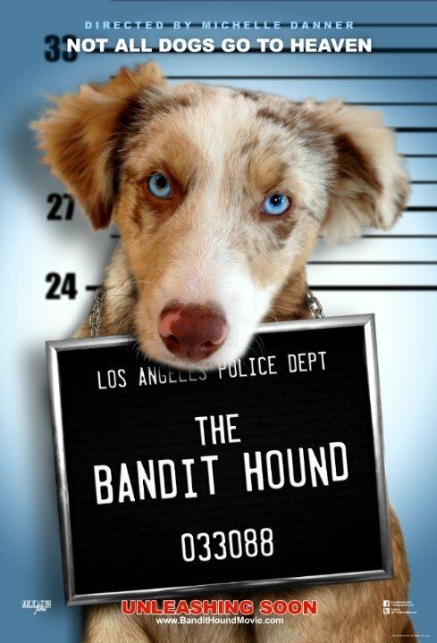 Пёс Бандит / The Bandit Hound (2016) 