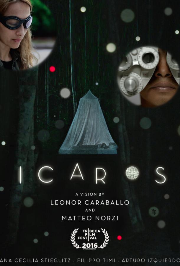 Икар: Видение / Icaros: A Vision (2016) 