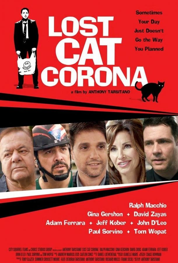 В Короне пропал кот / Lost Cat Corona (2017) 