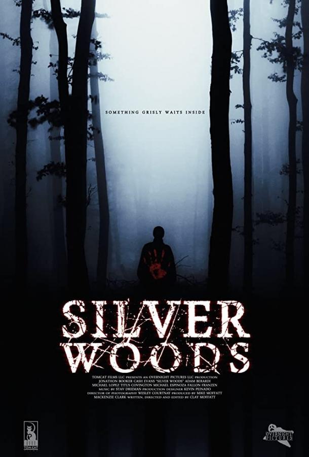 Серебрянный лес / Silver Woods (2017) 