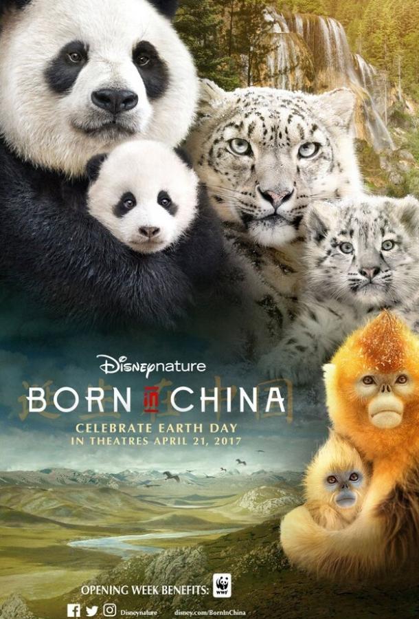 Рожденные в Китае / Born in China (2016) 