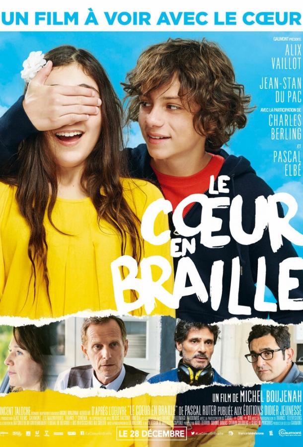 Краткий обзор / Le coeur en braille (2016) 